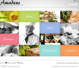 数字时代的双引擎 网页设计与软件开发